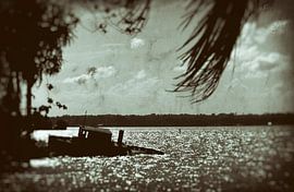 Schiffswrack auf dem Marowijne-Fluss von Richard Wareham