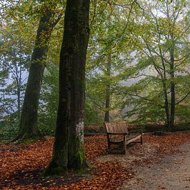 Take a seat van Michel Knikker