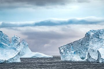 Les icebergs autour de la Géorgie du Sud sur Ron van der Stappen