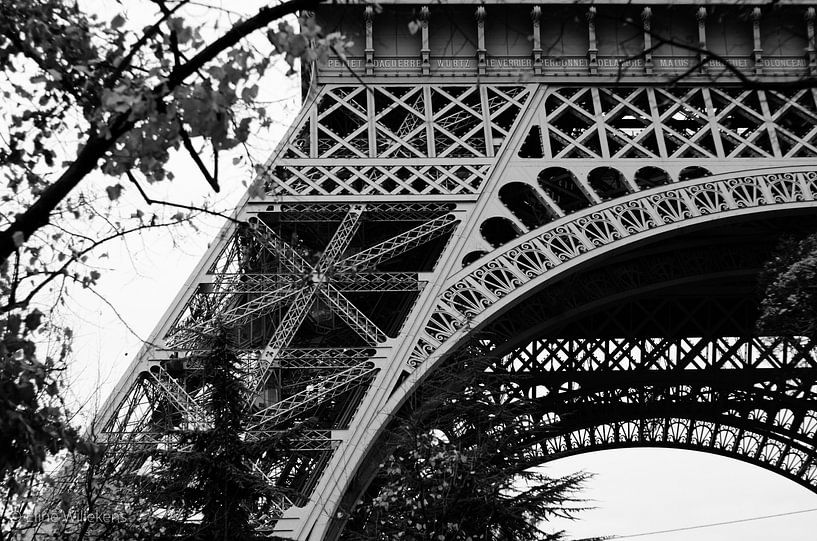 Paris - Eiffelturm durch die Bäume - Schwarz und weiß von Eline Willekens