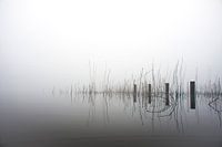 More Fog B