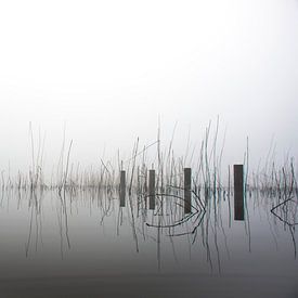 Mehr Nebel B von Frank Hensen