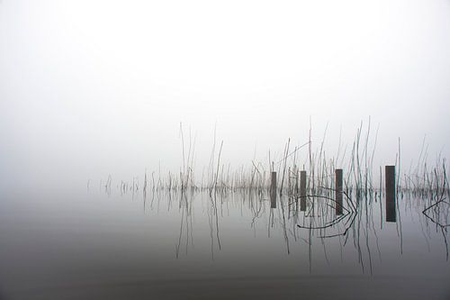 More Fog B by Frank Hensen