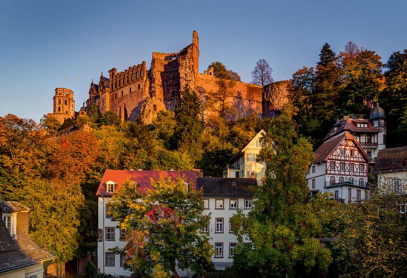 Château de Heidelberg, Allemagne par Adelheid Smitt