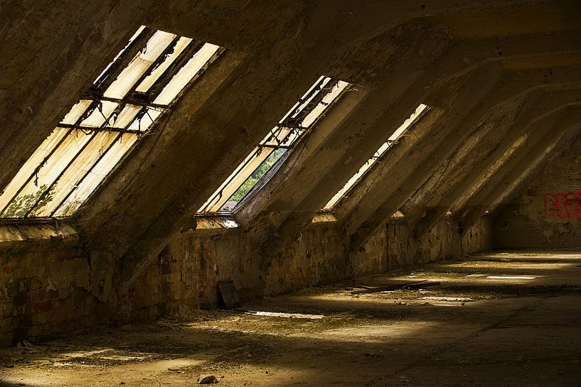 Windows by Frozen Moments