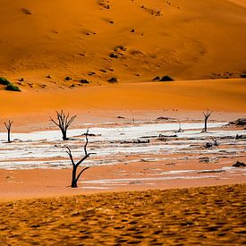 Bäume im Sossusvlei von Peter Relyveld