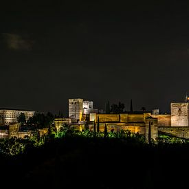 Alhambra van Henk Verheyen