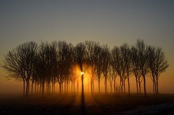 Mystieke zonsopkomst van Yvonne van der Meij