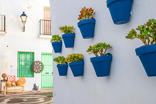 Frigiliana – Witte charme en blauwe bloempotten in Andalusië