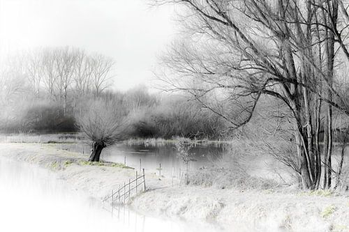 Dike at the Schulensmeer