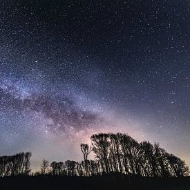 the night of the galaxy by Marcel Hof