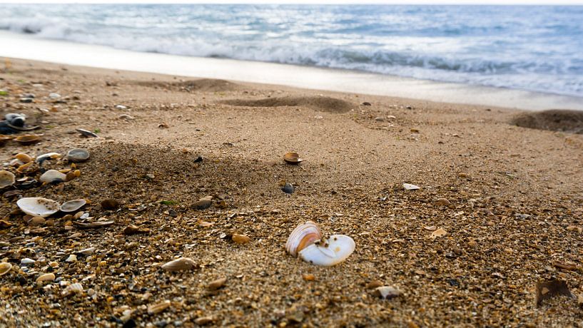 Sand &amp; Sea von Sofie Verbruggen