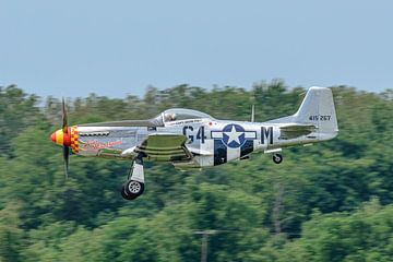 North American P-51D Mustang Ain't Missbehavin&#039 ;. sur Jaap van den Berg