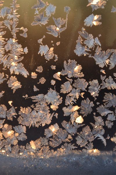 Frost in a window by Claude Laprise