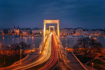 Pont Elisabeth à Budapest sur Bea Budai