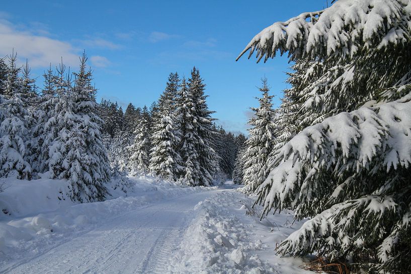 Photo d'hiver - Photo de neige - Ardennes par Pixelatestudio Fotografie