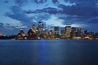 Skyline von Sydney bei Nacht von Diederik De Reuse Miniaturansicht