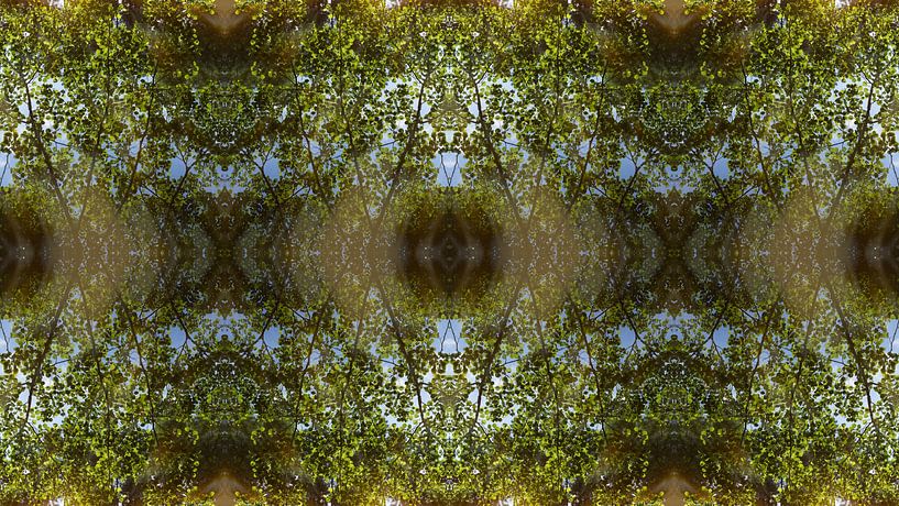 Mirrored leaves, water and symmetry 1 by Adriana Müller