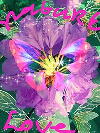 L'amour de la nature sur treesgivepeace.nl