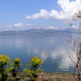 Schönheit der Natur von Tina art