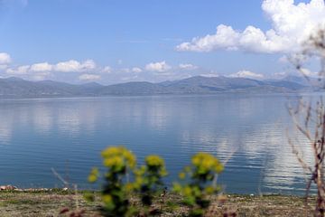 Schönheit der Natur