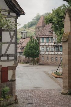 Maulbronn after the rain