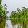 Het Kabalebo Nature Resort is een toeristenresort in Suriname van René Holtslag