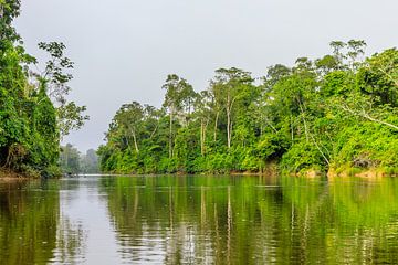 Kabalebo Nature Resort ist ein Ferienort in Suriname von René Holtslag