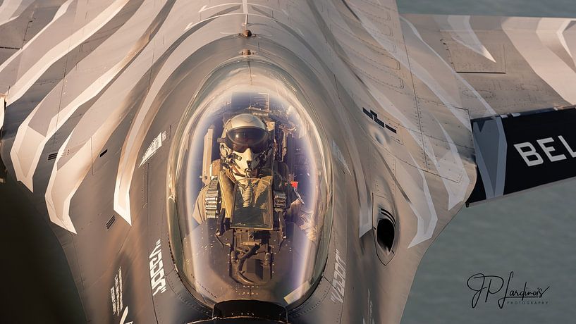 Vader van Jean Paul LARDINOIS