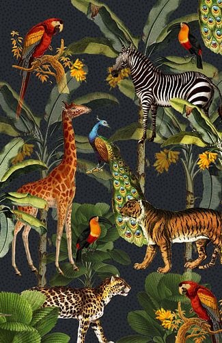 Jungle met tijger en tropische planten, zebra, giraffe en toekan