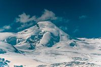 ALLALINHORN