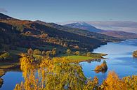 Queen's View, Perth and Kinross, Perthshire, Schotland, UK van Arch White thumbnail