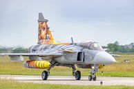 Czech Saab JAS39 Gripen during NTM 2017. by Jaap van den Berg thumbnail