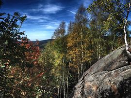 Rund um die Feigenbaumklippe