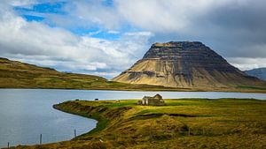 Chevaux islandais devant le Kirkjufell