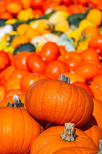 Pompoenmagie in de herfst