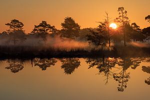 Sonnenaufgang im Pietzmoor bei Schneeverdingen