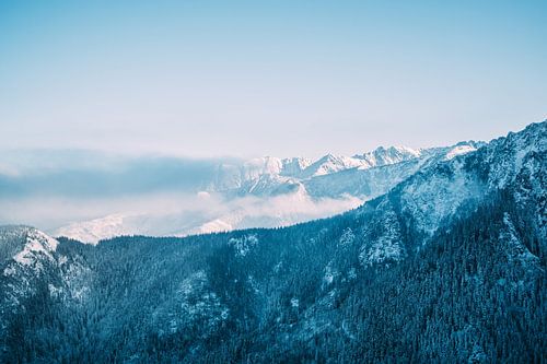 Blue Mountain Landscape in Winter