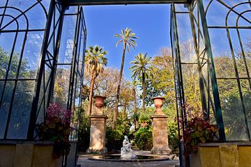 Magische palmbomen in de botanische tuin van Palermo