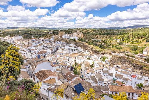 Setenil de las Bodegas tussen olijfgaarden