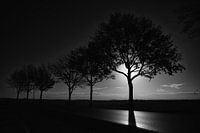 Tree line