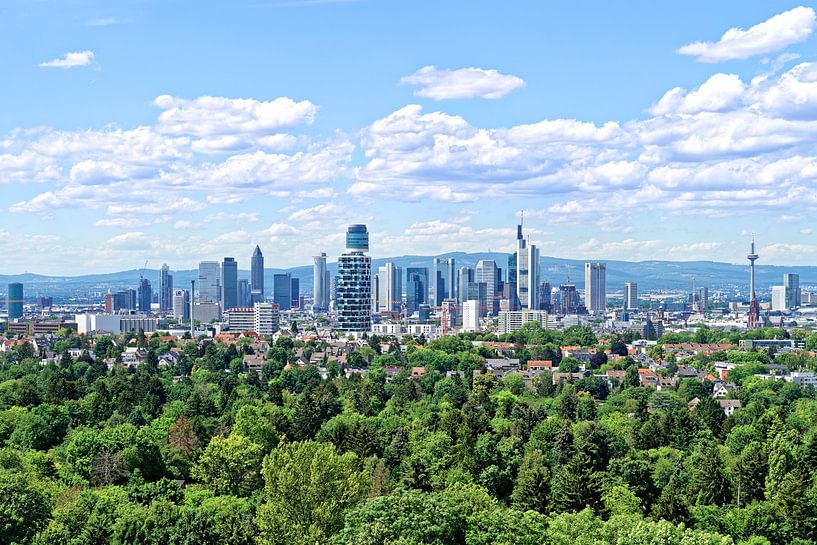 Furious Frankfurt on the Main by Hans Rodewald