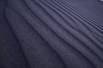 Beach detail of the Dutch coast