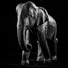 Elephant by Rob Boon