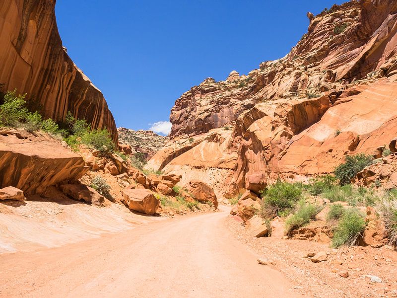 Rock formation in Capitol Reef National Park, Utah, USA by Katrin May
