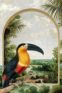 Bird in Brazil van Marja van den Hurk