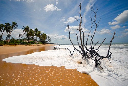 coast of Sri Lanka by Jan Fritz