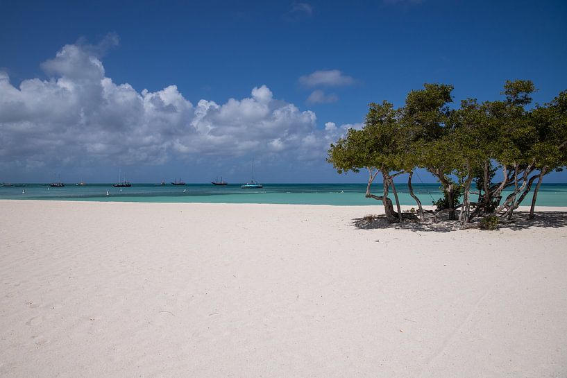 Aruba by Joyce Perez