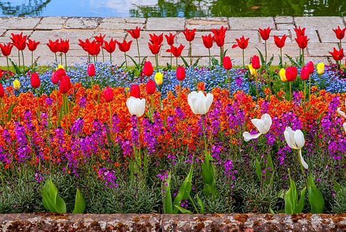 Floral splendour in spring at Kensington Gardens