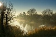 Kreek in de mist van Willian Goedhart thumbnail